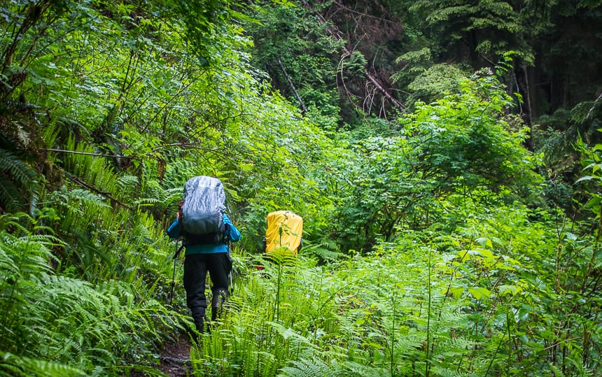 A 4 Day Hiking Trip on the Juan de Fuca Trail