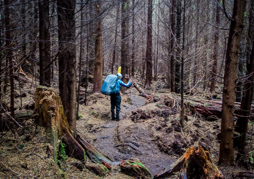 A 4 Day Hiking Trip on the Juan de Fuca Trail