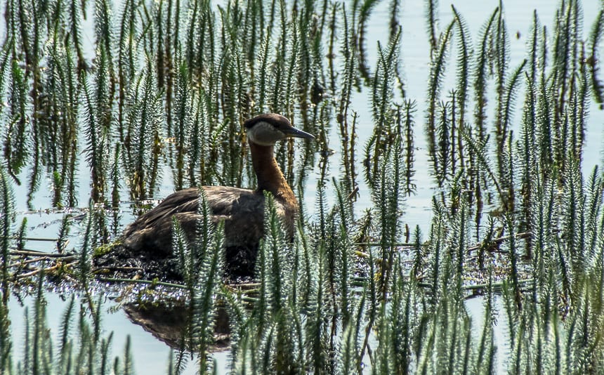 3 Southern Alberta Provincial Parks That Should be on Your Radar