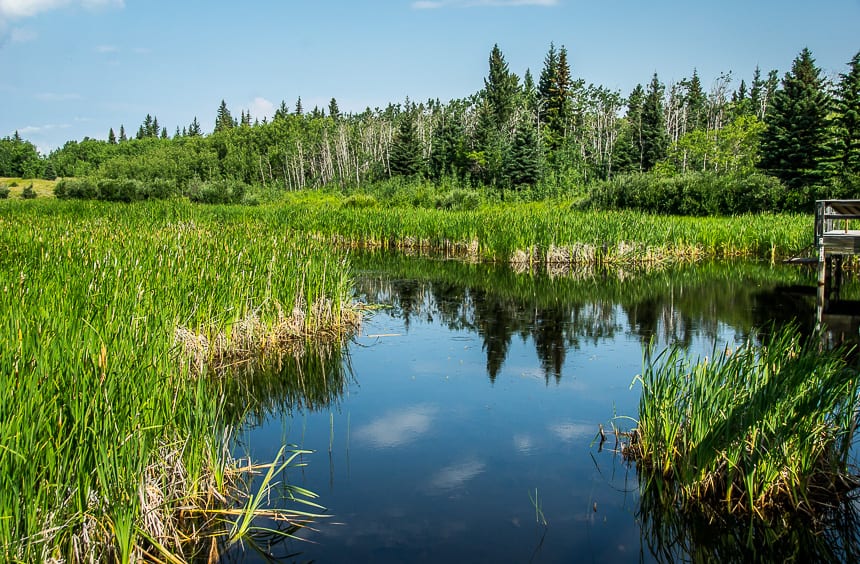 3 Southern Alberta Provincial Parks That Should be on Your Radar