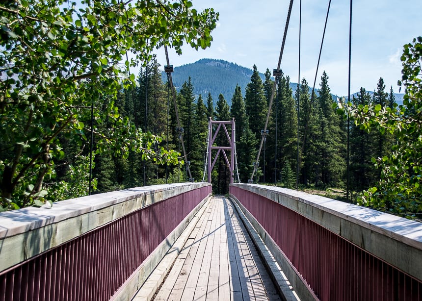 Start the hike by crossing the Harry Chapman Pedestrian Bridge