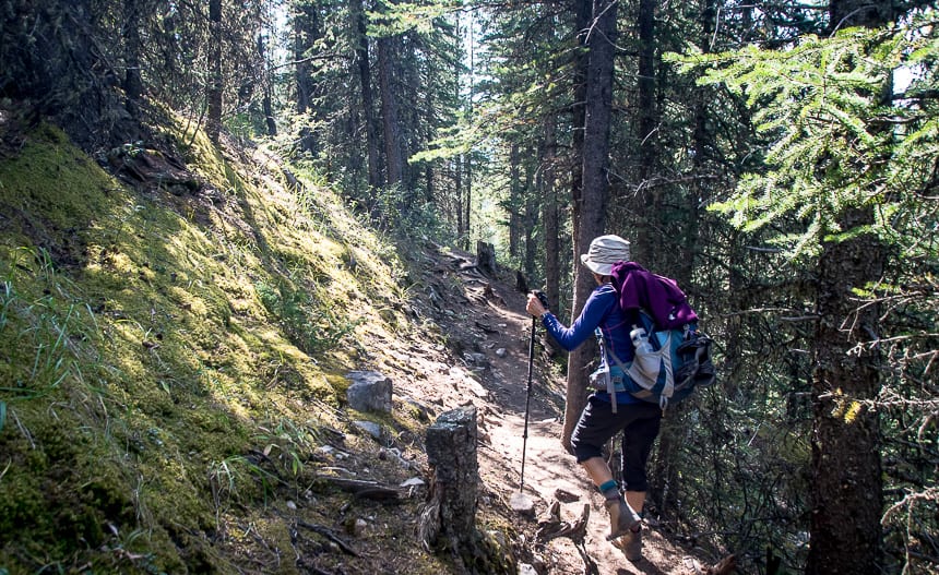 The Fabulous Forgetmenot Ridge Hike in Kananaskis Country