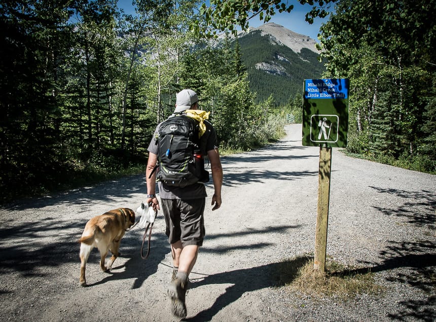 Flat trail and road walking past the campgrounds to get to the start of the real trail