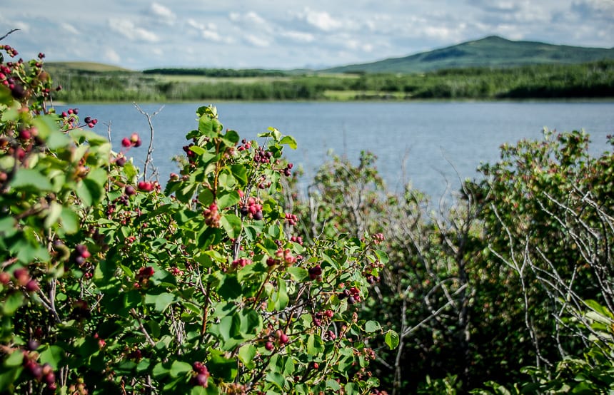 3 Southern Alberta Provincial Parks That Should be on Your Radar