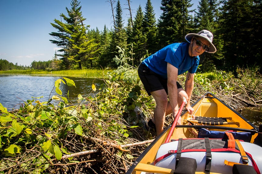 Pulling the canoe over a beaver dam is tricky work