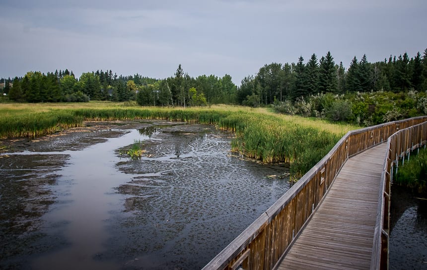 Gaetz Lakes Sanctuary in Red Deer