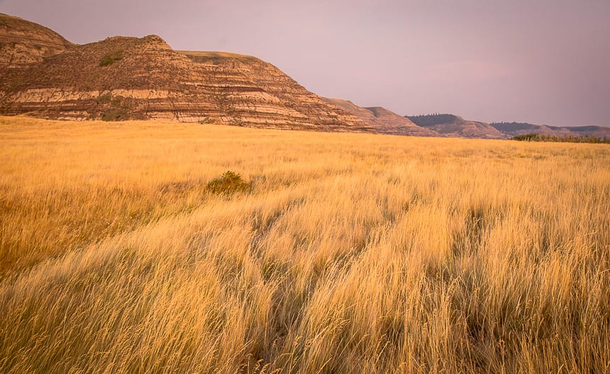 A Weekend Canoe Trip on the Red Deer River