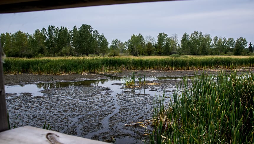 Checking out the bird blind at the Kerry Wood Nature Centre