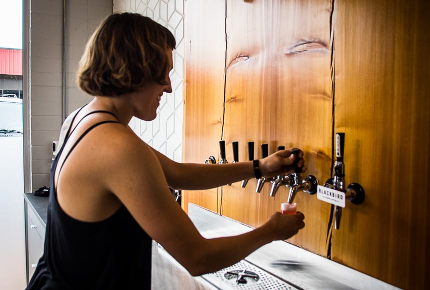 Kombucha on tap at Wild Brewing