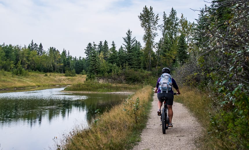 Mountain bikes store red deer