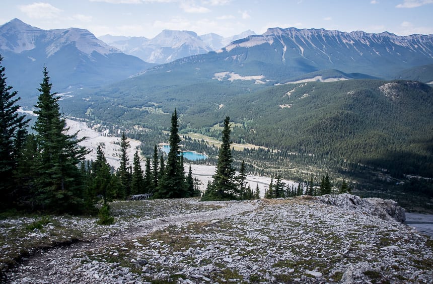 That’s Forgetmenot Pond in the distance – a popular picnic destination