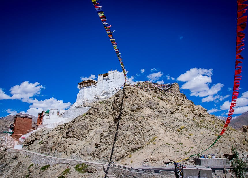 What You'll Want to do if you Have 24 Hours in Leh