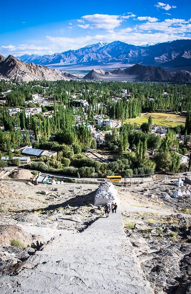 What You'll Want to do if you Have 24 Hours in Leh