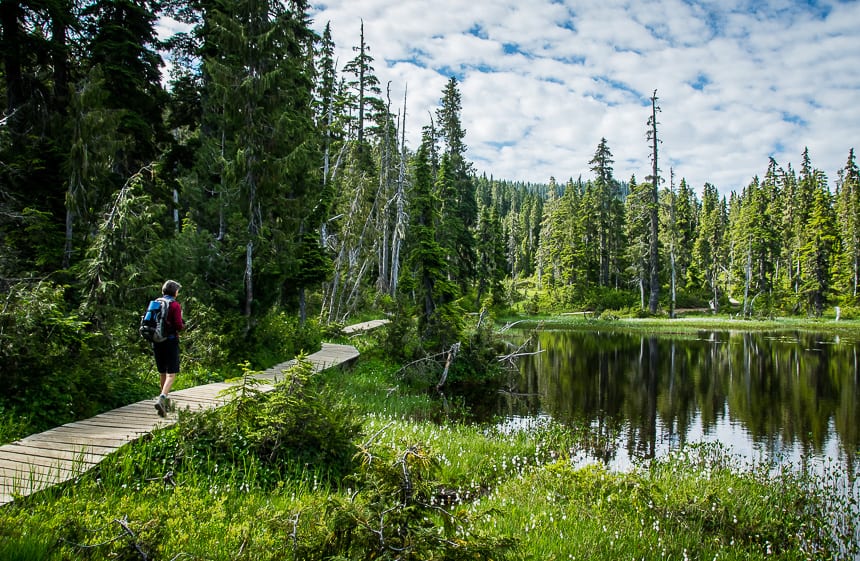 Walking the boardwalk on the Kwai lake loop hike