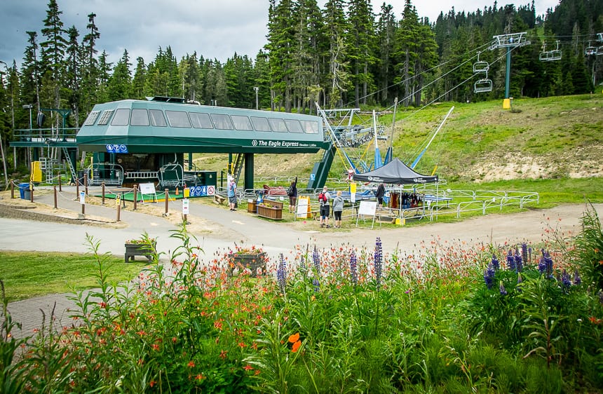 The Mt Washington Chairlift is located in Strathcona Provincial Park