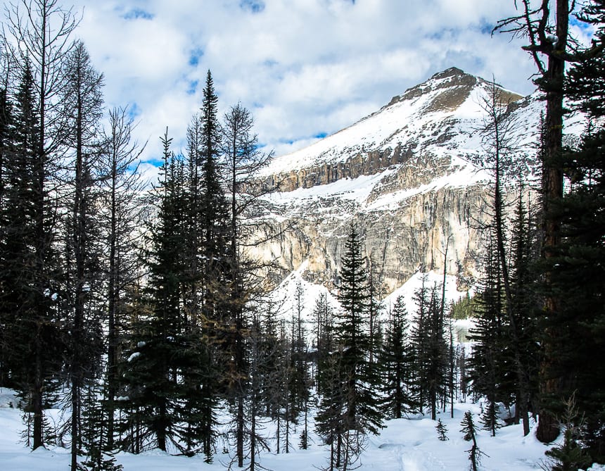  It would be really pretty here in September when the larch are ablaze in yellow