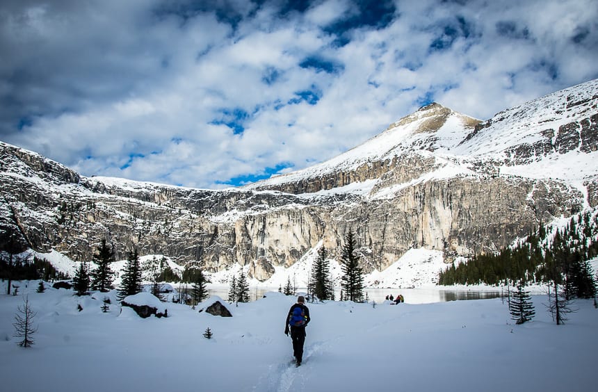 Hike through scattered larch trees on route to the lake