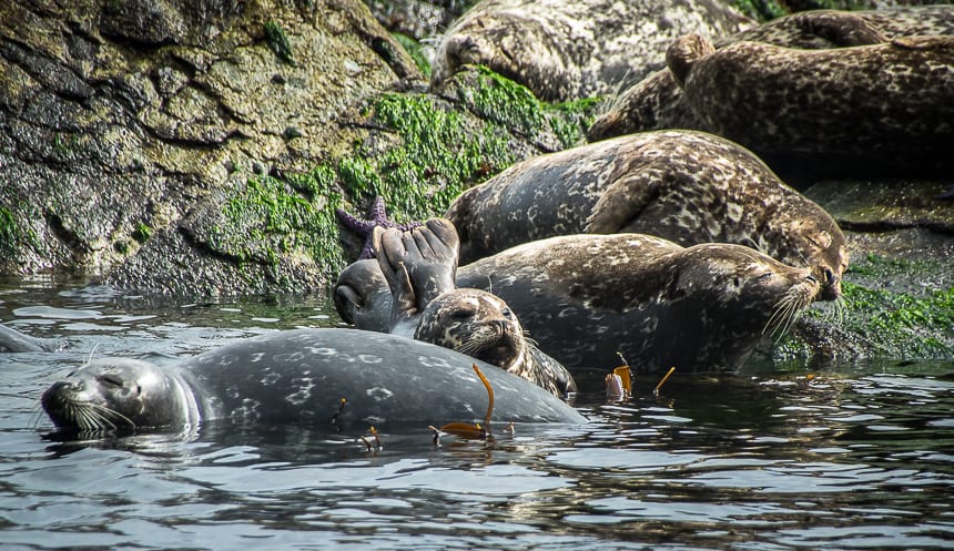 The Top 10 Things to do Within One Hour of Campbell River