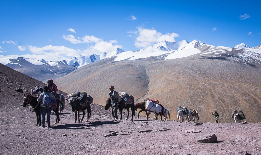 Highlights of 3 Days of Trekking in the Markha Valley