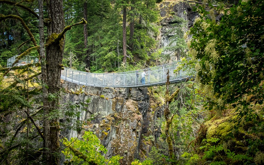 The Top 10 Things to do Within One Hour of Campbell River - It's an airy feeling standing 60 metres above the Campbell River Canyon on the Elk Falls Suspension Bridge