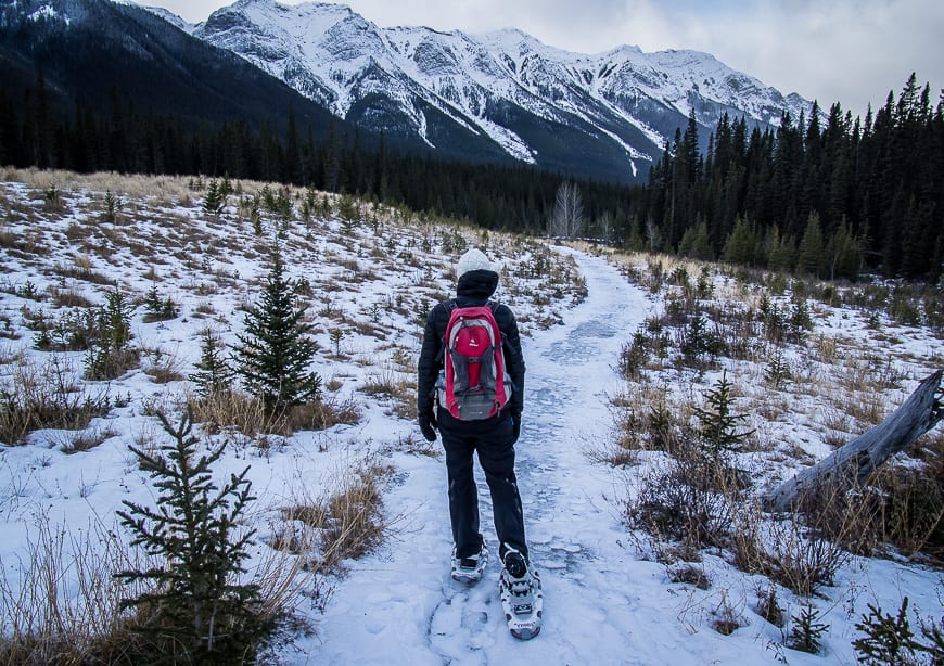 Snowshoeing a section of the High Rockies Trail