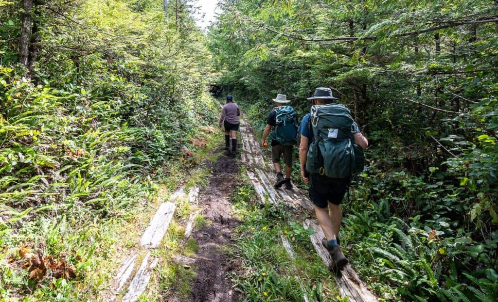 Hiking the Cape Scott Trail via an old military road from WW2