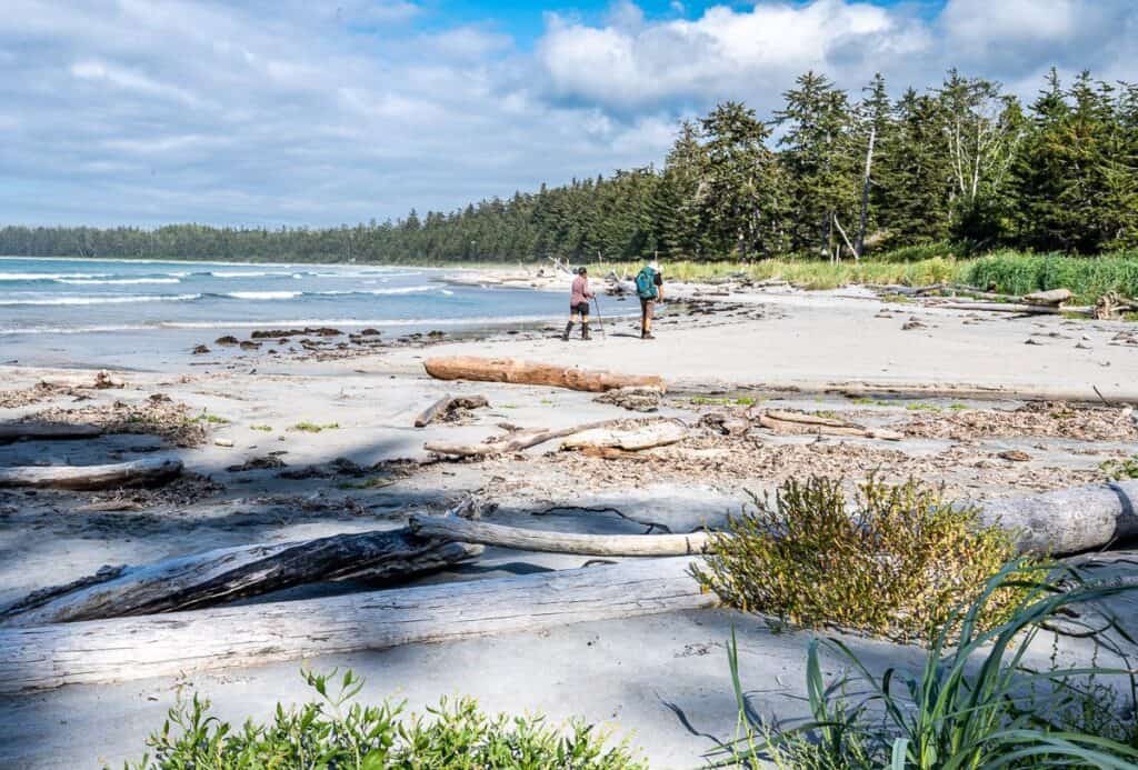 Heading back to our campsite at Nels Bight on a sunny day after hiking out and back to the Cape Scott Lighthouse