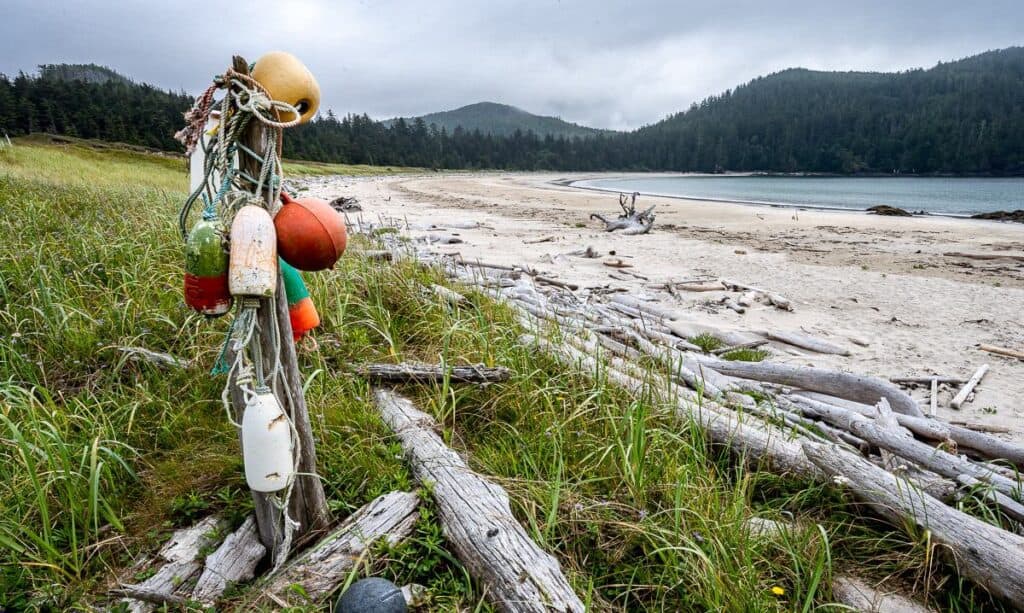 Visit the beach at Guise Bay coming and going to the Cape Scott Lighthouse