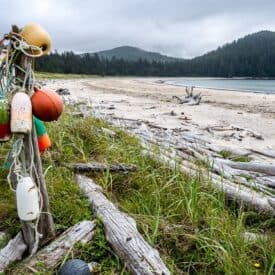 Visit the beach at Guise Bay coming and going to the Cape Scott Lighthouse