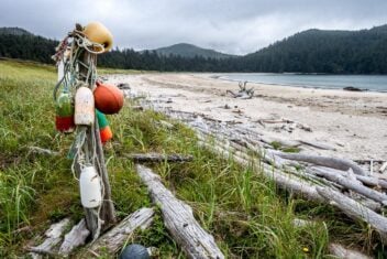 Visit the beach at Guise Bay coming and going to the Cape Scott Lighthouse