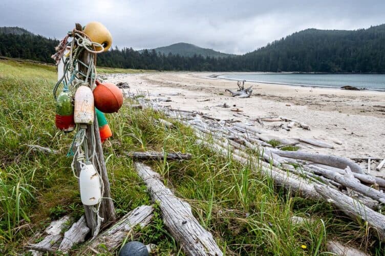 Visit the beach at Guise Bay coming and going to the Cape Scott Lighthouse