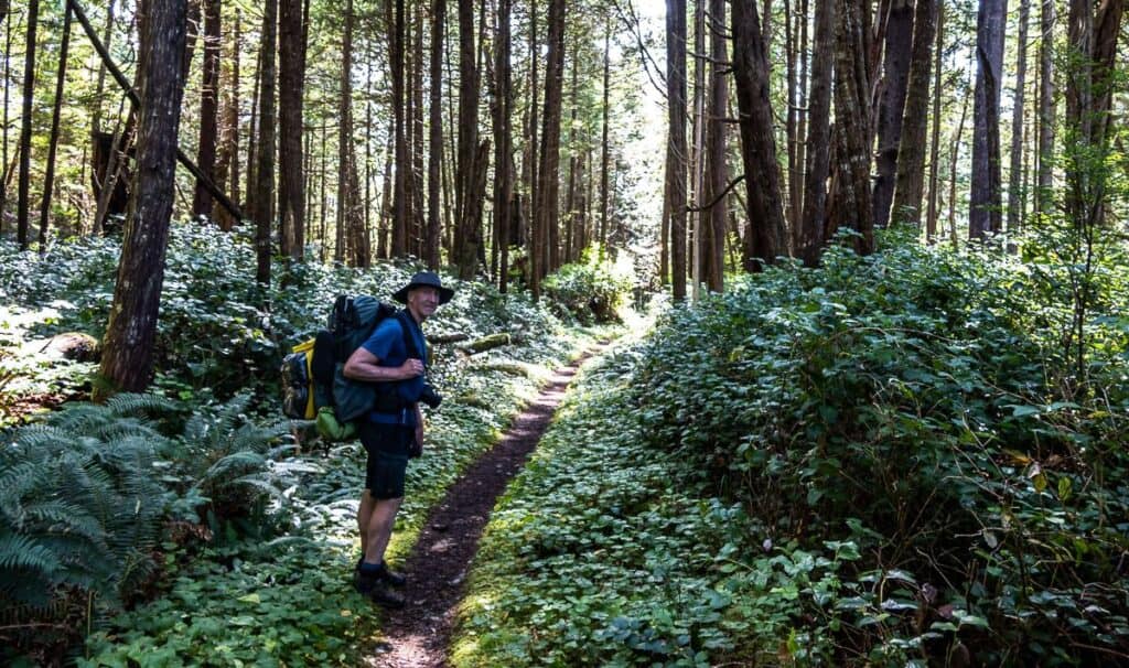 An almost dead-straight section of trail south of Nissen Bight