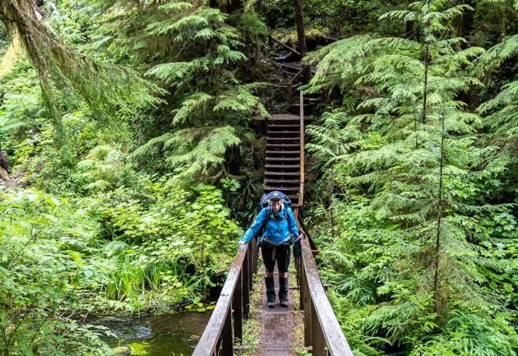 It's a study in green along the Cape Scott Trail
