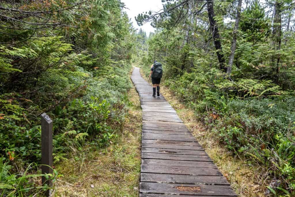 Note the sign marking km 12 - and easy walking on boardwalk through grass and trees