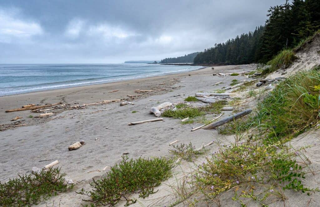 Lovely beach walking along Experimental Bight towards the dunes and Guise Bay