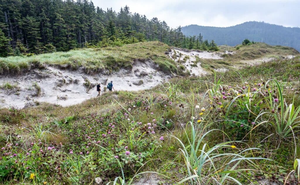 Walking through the dunes to get to Guise Bay