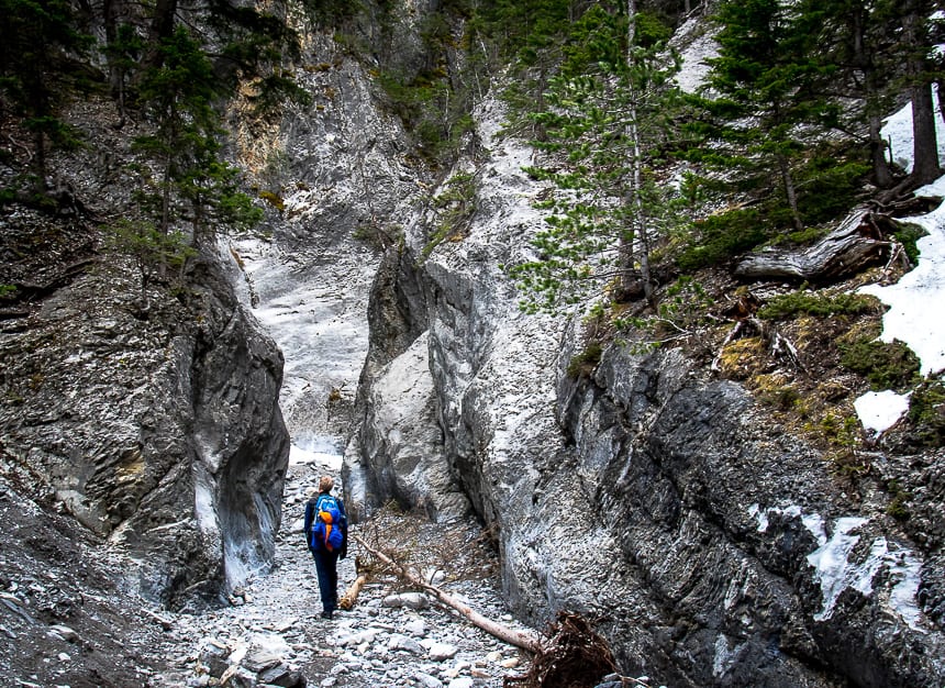 Things To Do In Canmore On A 2 Day Winter Visit