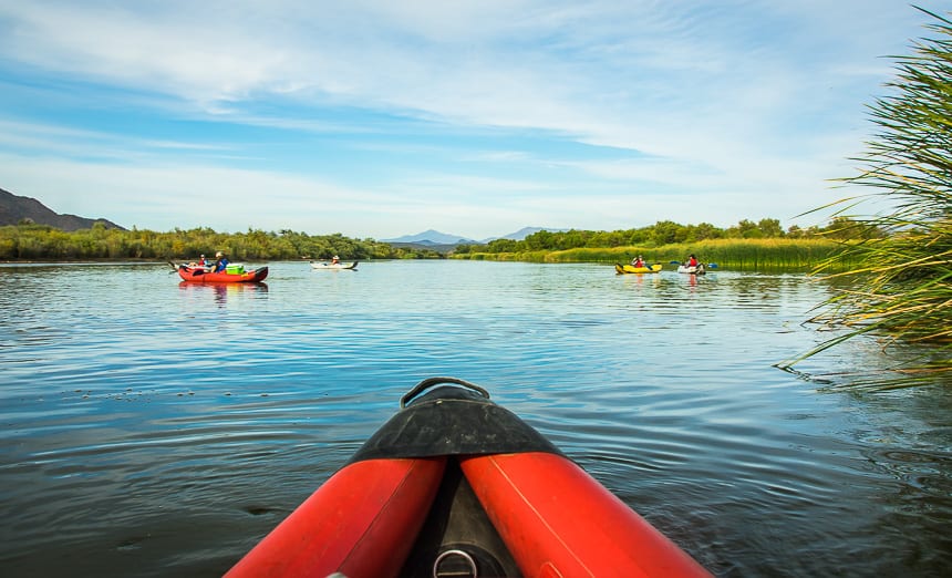 Lovely paddling on the lower Salt River with lots of bird life- one of the fun things to do in Mesa, AZ