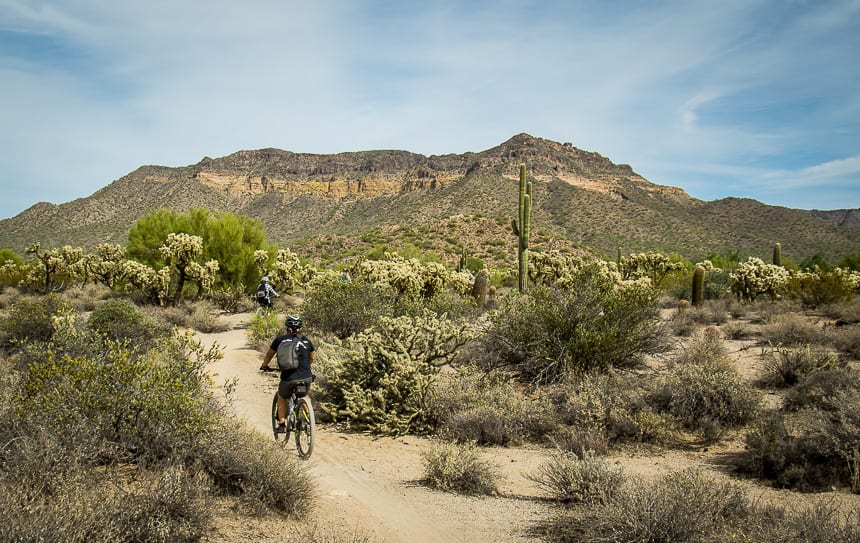 Easy mountain biking trails in Usery Mountain Regional Park