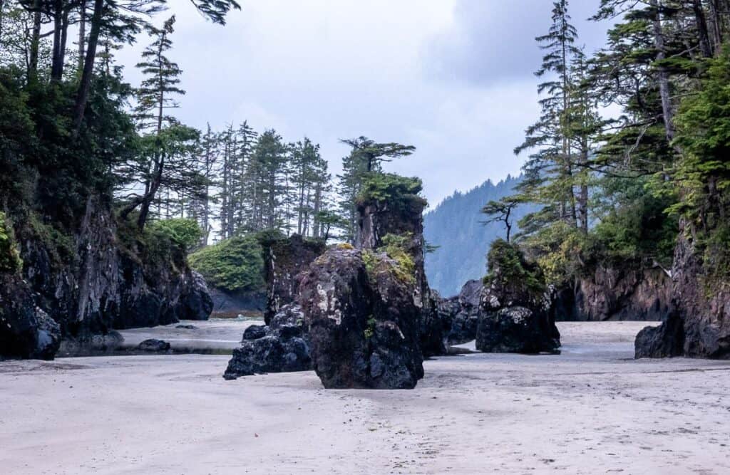 Fantastic pillars at low tide at San Josef Bay