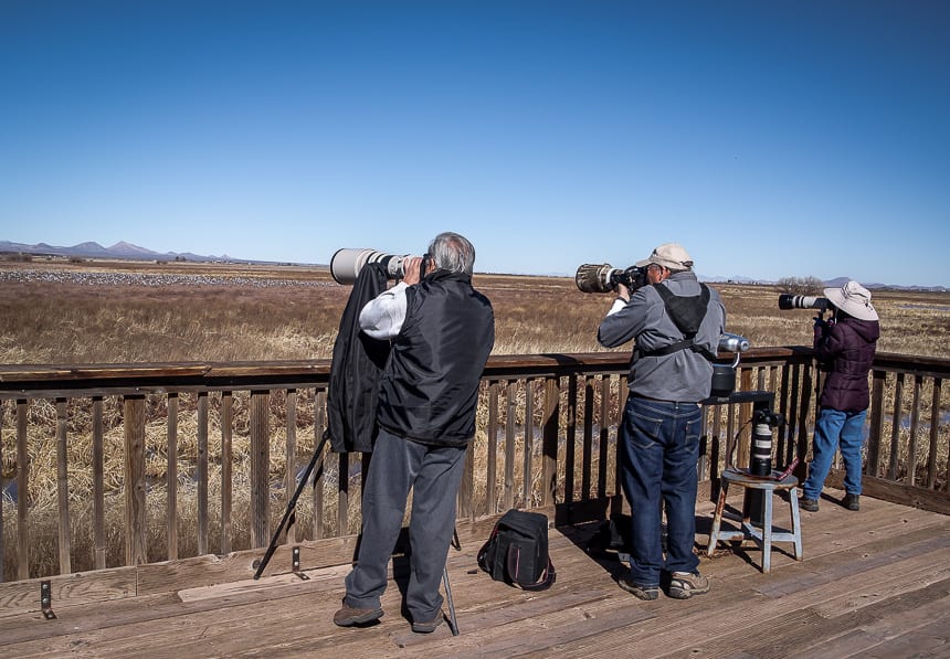 Smart birders bring their big lenses