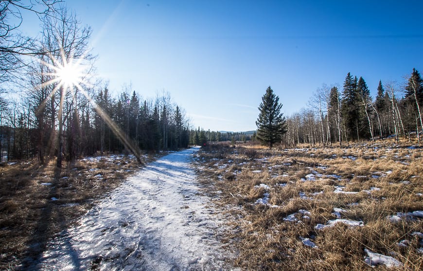 The trail starts off icy immediately after leaving the Allen Bill parking lot