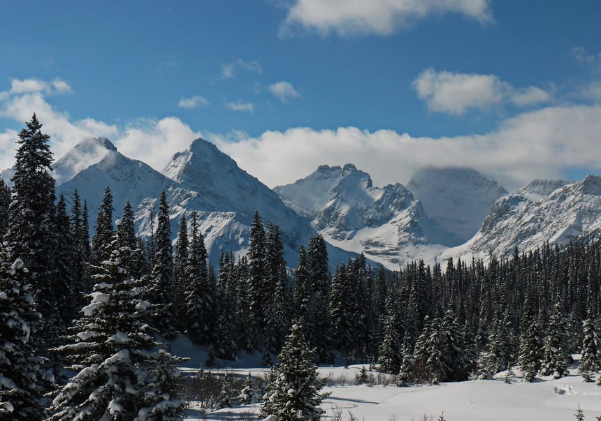 7 Places to Snowshoe Within 2 Hours of Calgary