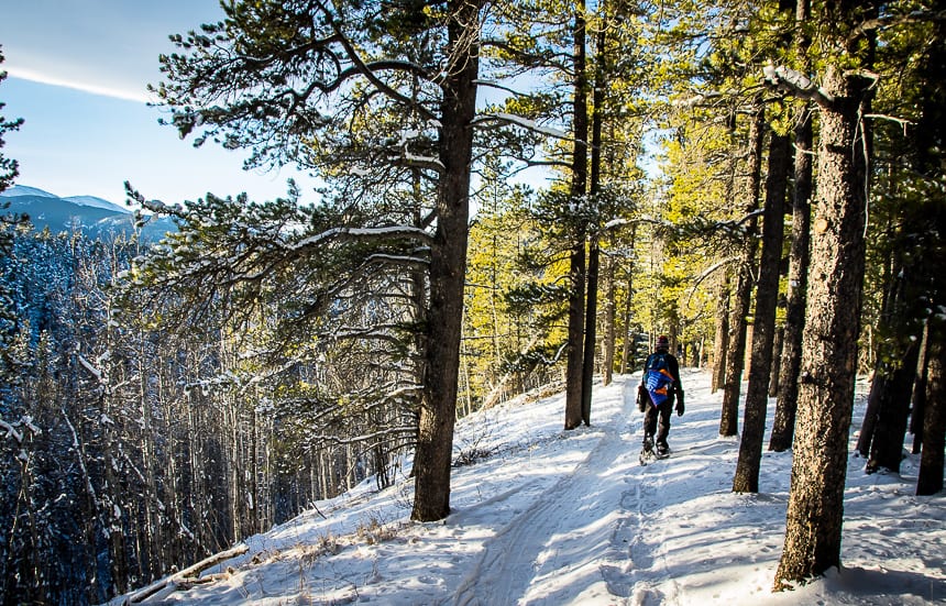 7 Places to Snowshoe Within 2 Hours of Calgary