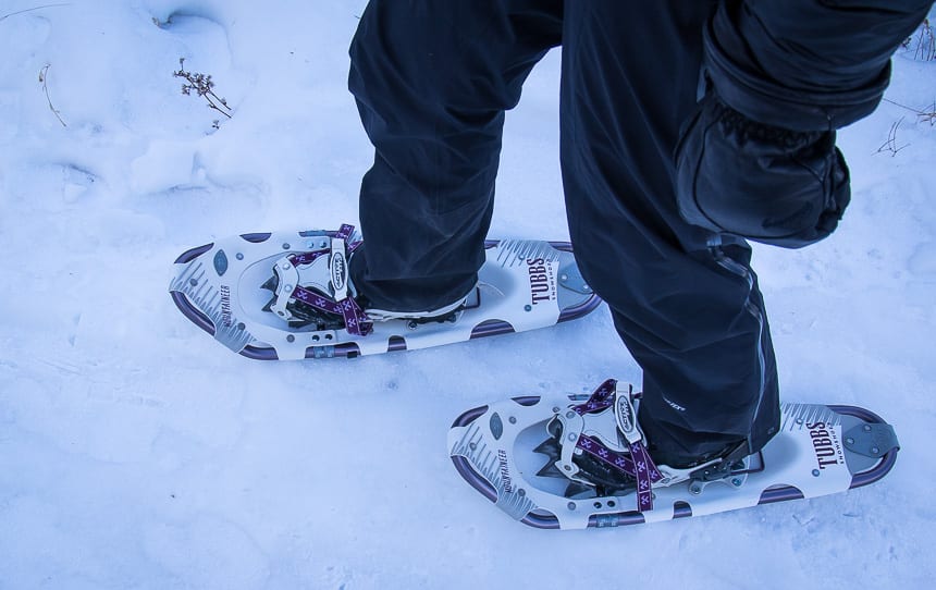 7 Places to Snowshoe Within 2 Hours of Calgary