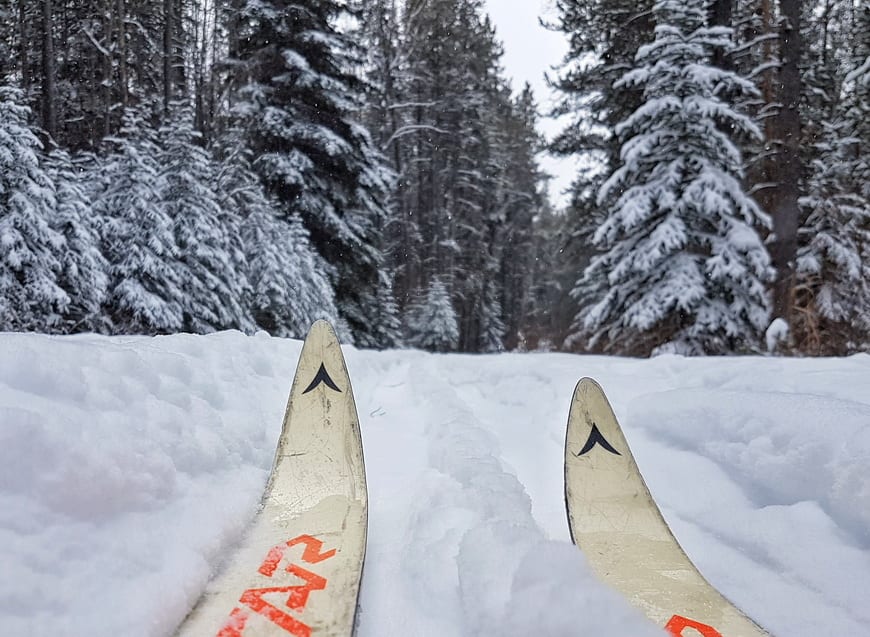 Lucky to have fresh snow as we leave from the Cave and Basin parking lot