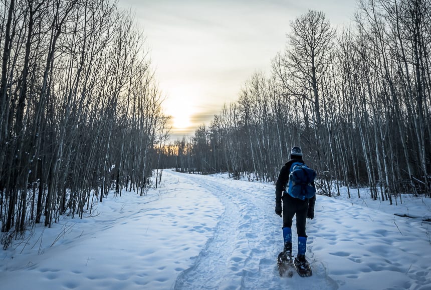 How to Have a Weekend of Winter Fun in Edmonton