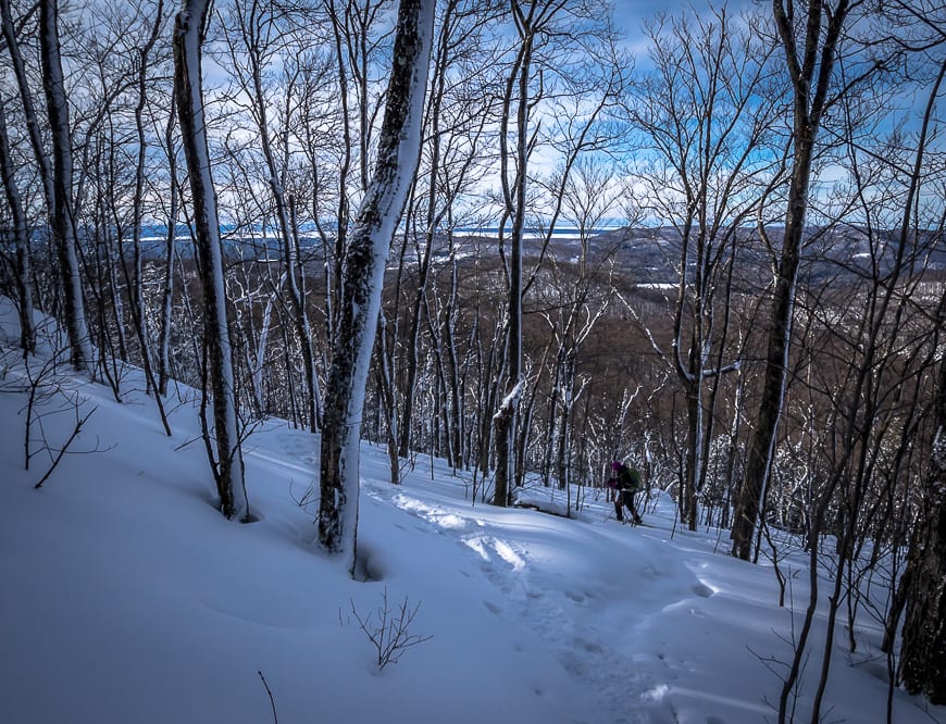 Stokely Creek Lodge: A Winter Mecca for Cross-country Skiing