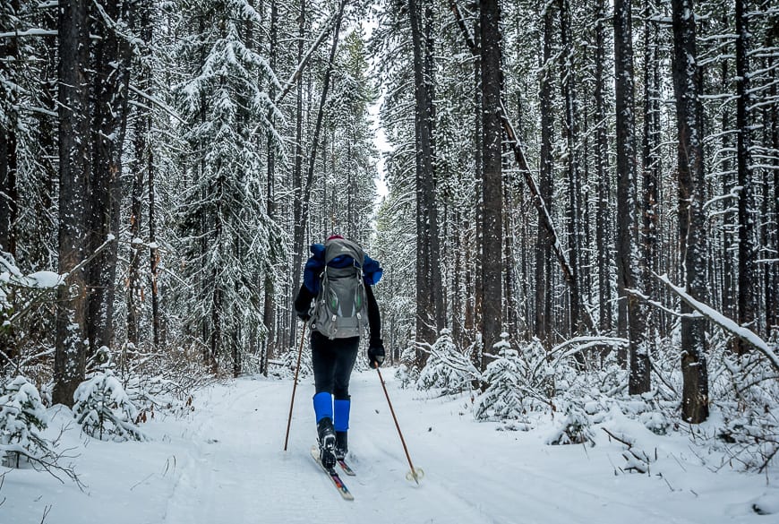 It's a 13 km ski into the lodge from the Cave and Basin parking lot