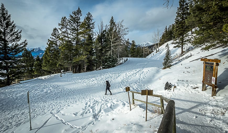 Tunnel Mountain: Banff's Must Do Hike